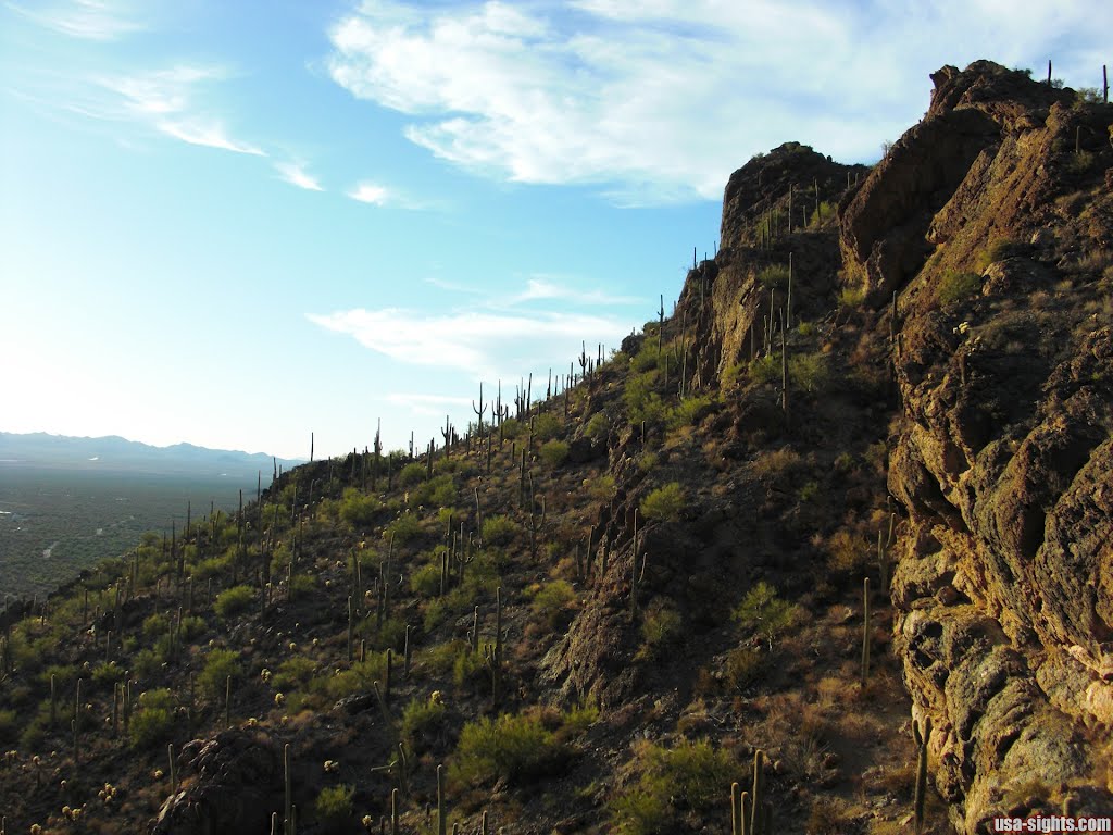 Saguaro-Nationalpark by usa-sights.com