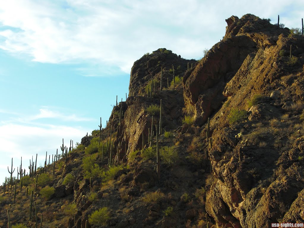 Saguaro-Nationalpark by usa-sights.com