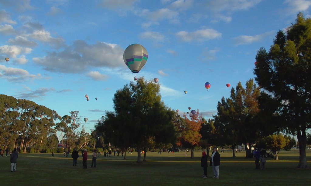 Baloon fiesta at Hamilton Lake by Dave Moran