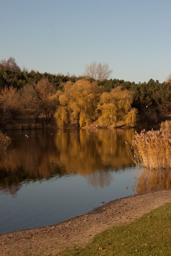 Park Szczęśliwicki by Insoff