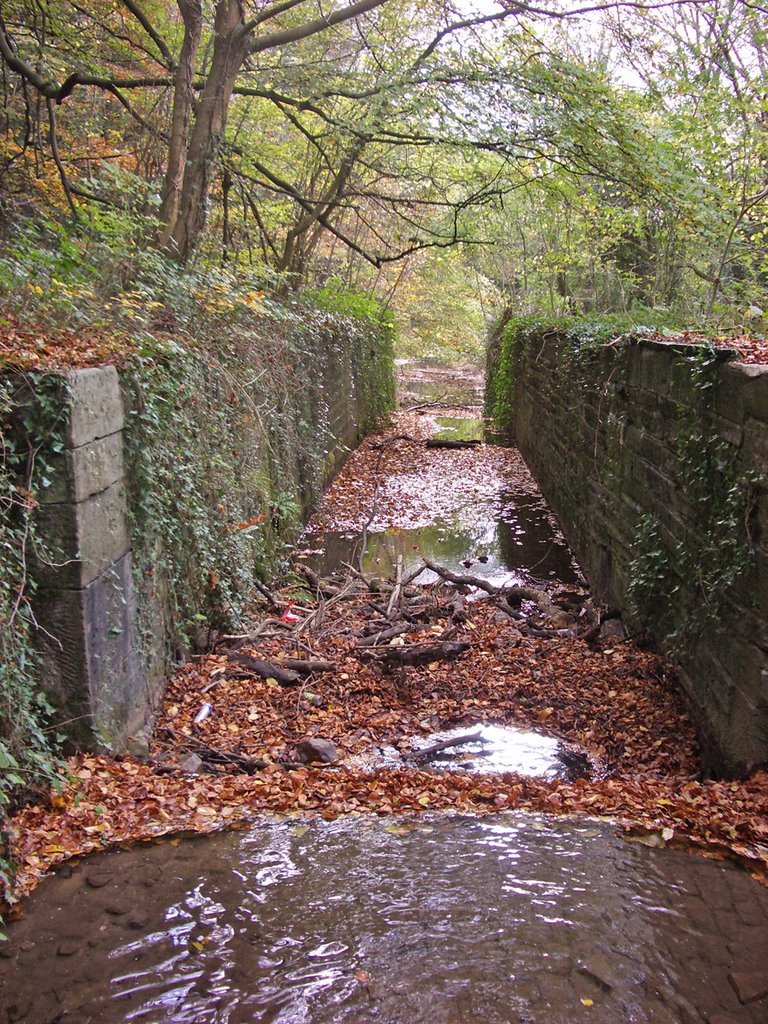 Middle Lock by robinw1