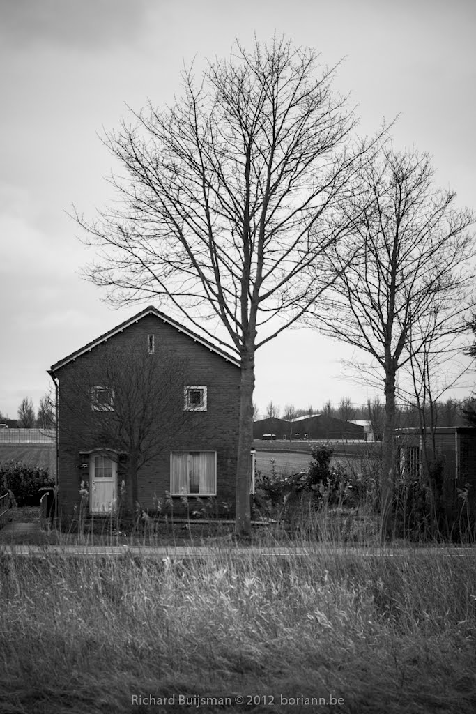 West-frisian house by Richard Buijsman