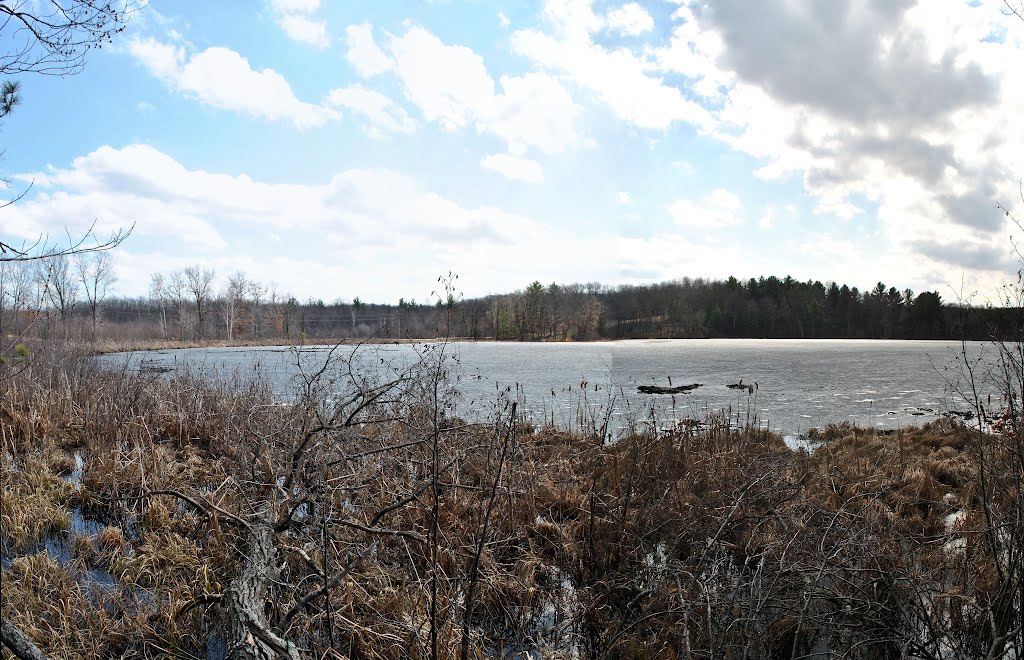 Chippewa Moraine Lakes State Natural Area - Plummer Lake Unit by Aaron Carlson