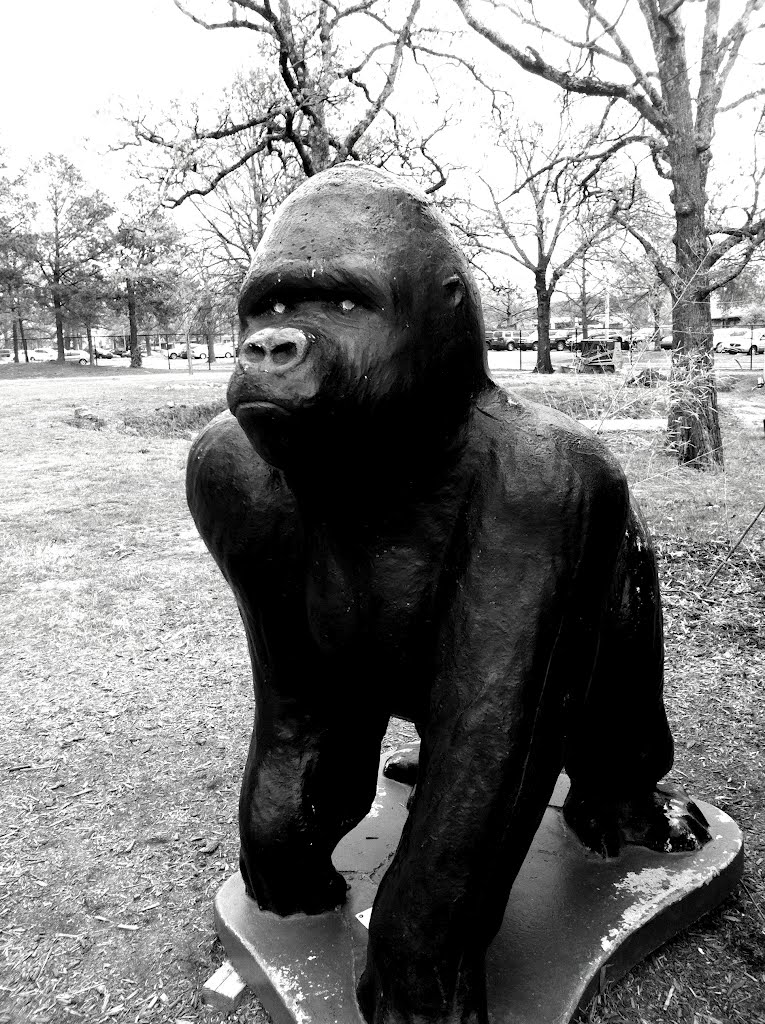 At the Little Rock Zoo by Brooks Family