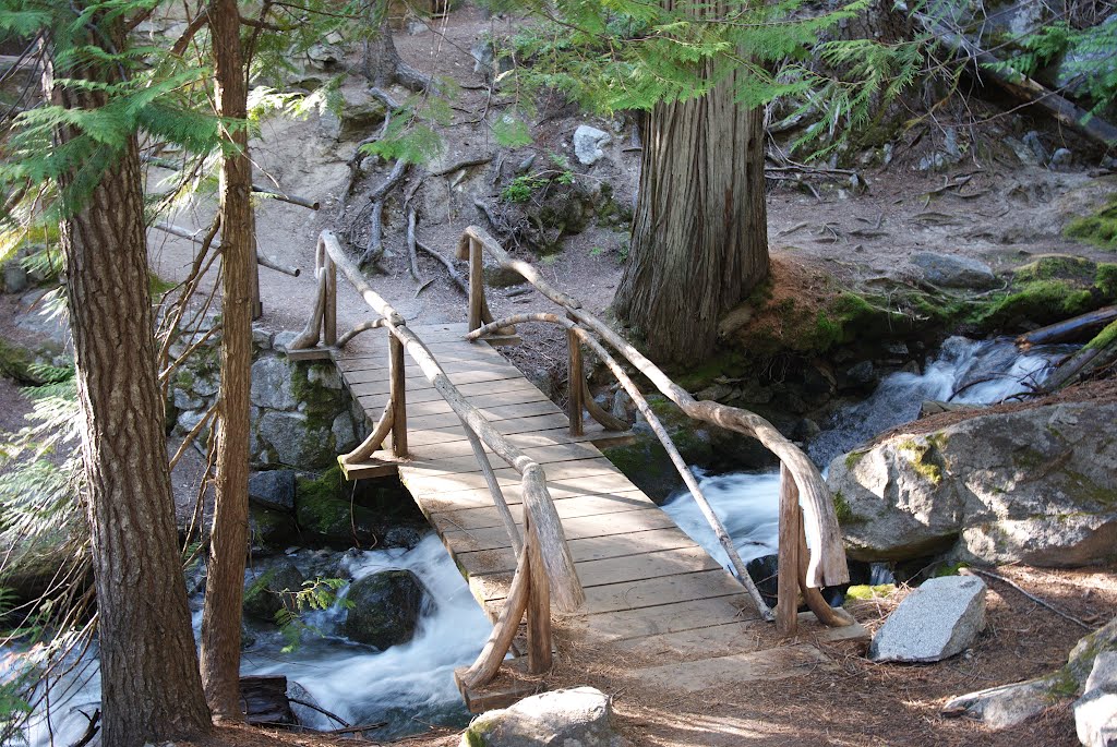 Silver Falls Bridge-Upper by woodgriz