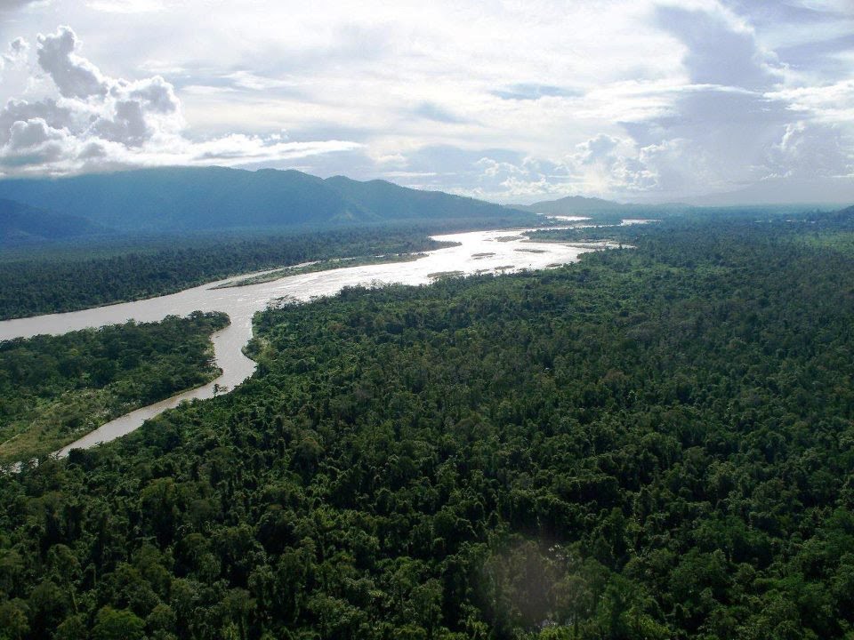 Looking Inland from near the Mouth of the Mighty MARKHAM River in Huon Gulf area, near LAE Whalfs, MOROBE Province, PNG, Photo by PETER BOYD, & Malum Nalu, in August 2011 by Peter John Tate,