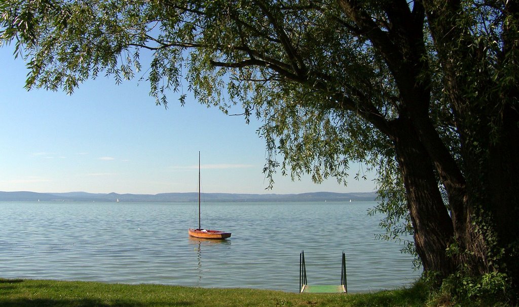 Balaton by döncibogyó