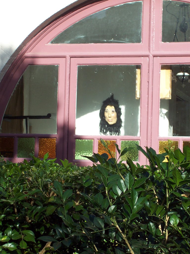 Cher Bono mask inside window by Chris Rex Parsons