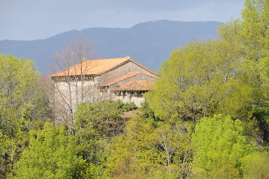 Igreja Sanfins de Friestas by J. Braga