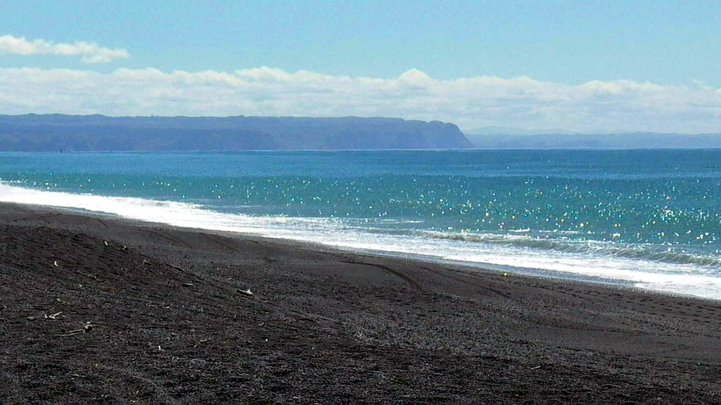 Napier beach2 by Dave Moran