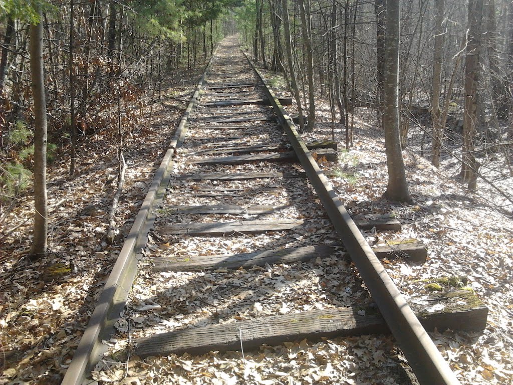 Greenville Branch looking South towards Townsend by MeEvilBob