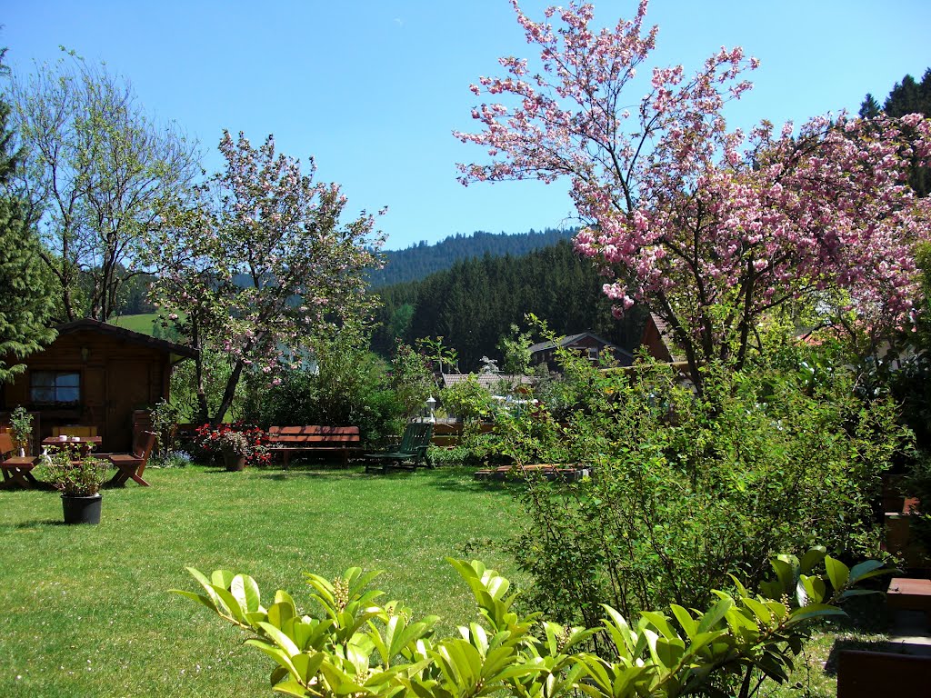 Herrliche Gartenwirtschaft in Oberwolfach by klausundchris