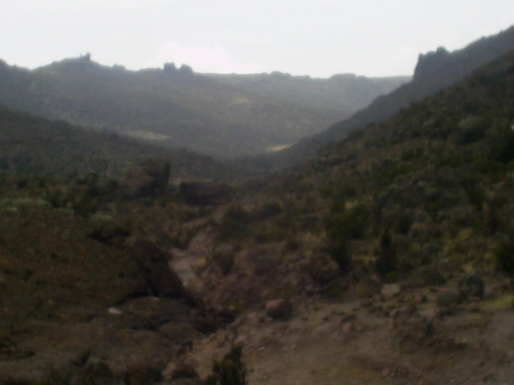 Quebrada encerrada-La bruma no deja ver-Caminando hacia el sur-este aqui me quede by Qechcan13