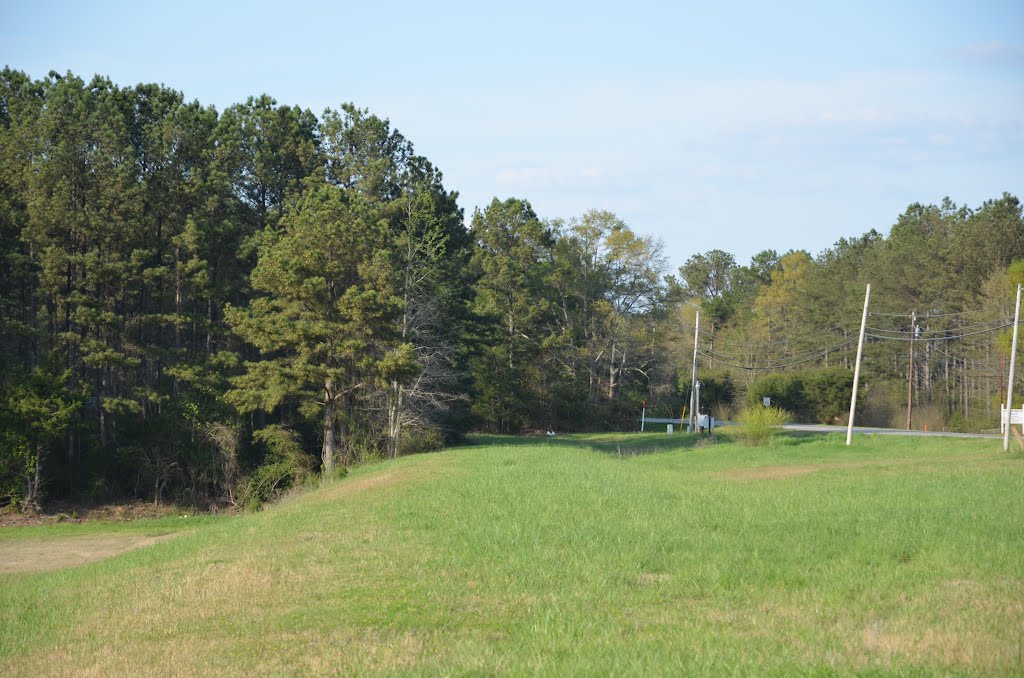 Central of Georgia Roadbed by wmr36104