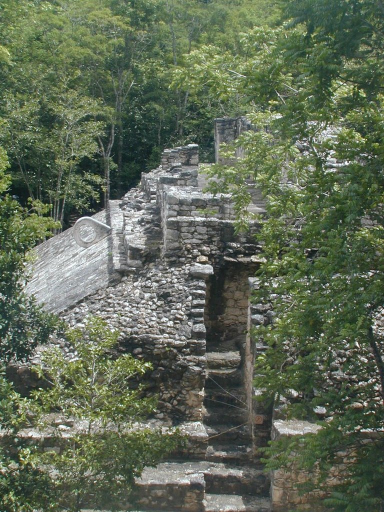 Cobá ruins by David Herberg