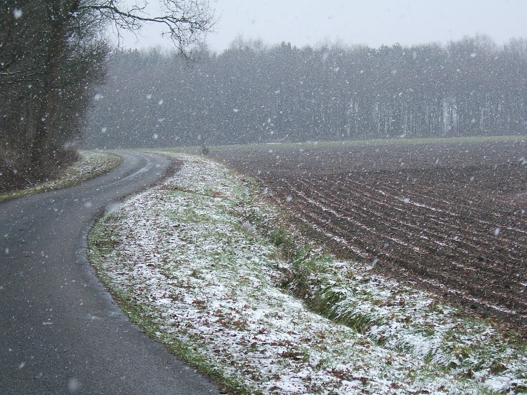 Brabants Vennenpad Etappe 07 Bladel - Lage Mierde 22 km by DeWandelaar