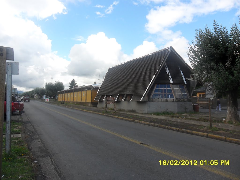 Carretera Internacional pasando por Curacautín, Chile. by fotomau84