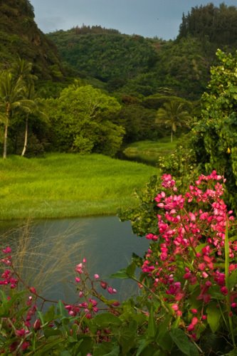 Waimea Valley Gardens, North Shore of O'ahu by photosofaloha