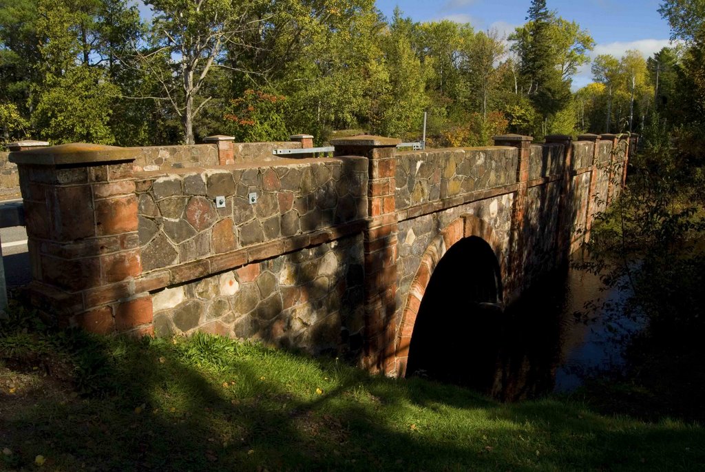 Bridge at Silver Falls on 5 Mile Pt. Dr. by Tom Vranich