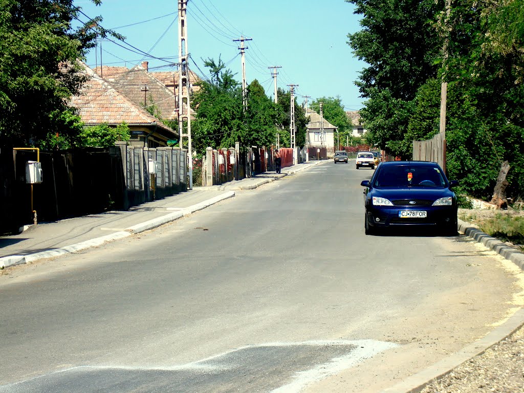 Turda - Str. Caisului - (2009.05.22) by Ana Maria Catalina