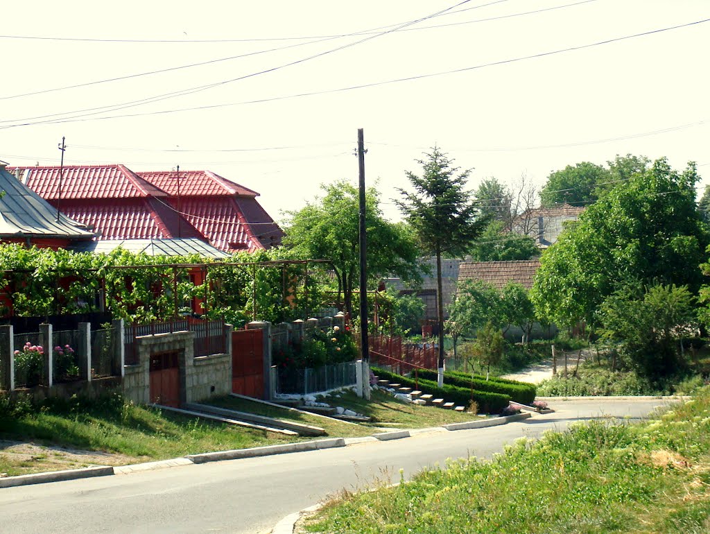 Turda - Str. Caisului - (2009.05.22) by Ana Maria Catalina