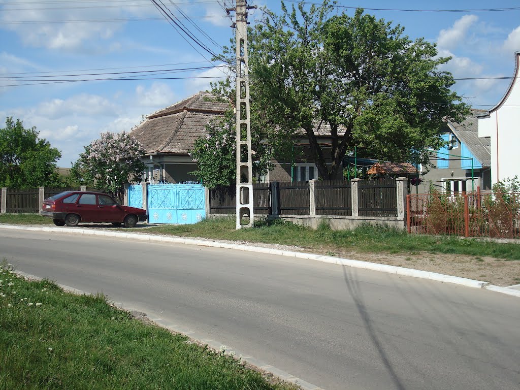 Turda - Str. Caisului - (2009.05.22) by Ana Maria Catalina