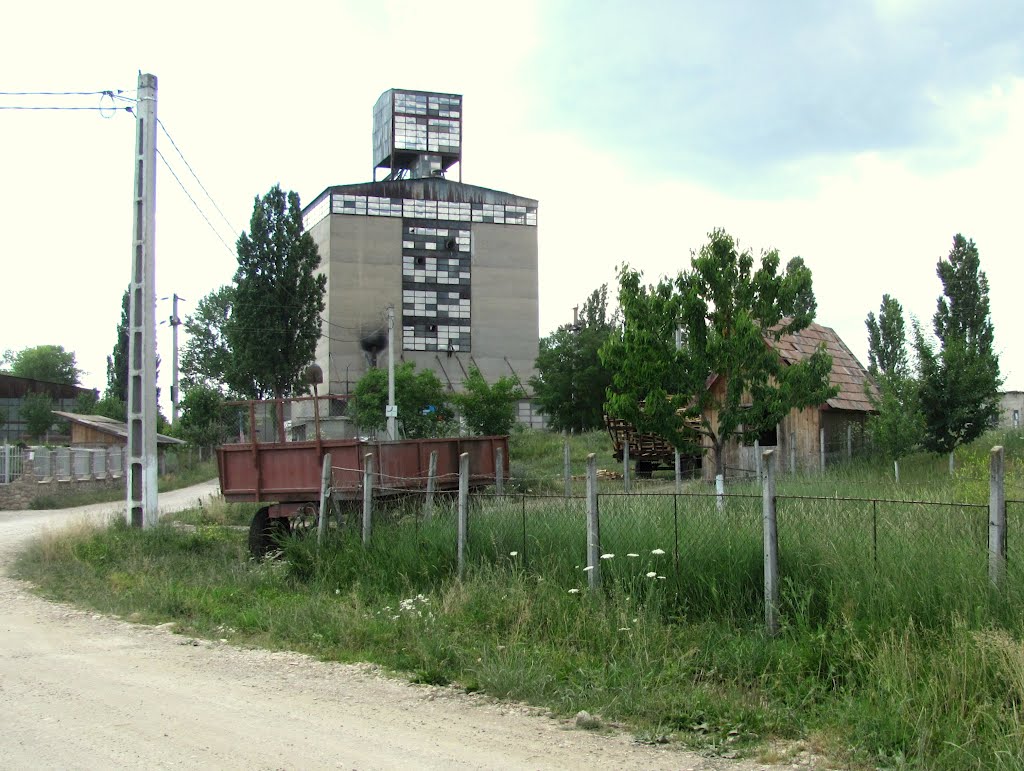 Turda - Aleea Alexandru Borza - Siloz pentru cereale - (2011.06.22) by Ana Maria Catalina