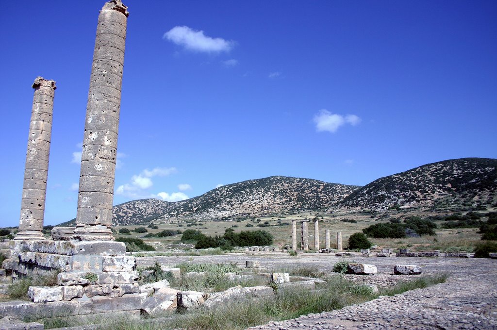 Ptolemaïs - Large agora, above the roman citerns by Cottius