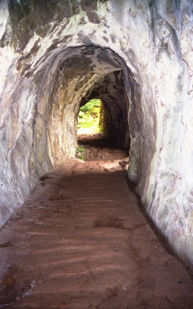 Wildenstein: tunnel d'entrée du château by girodpi