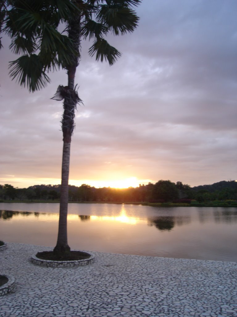 Tree beside pond 2 by carrotive