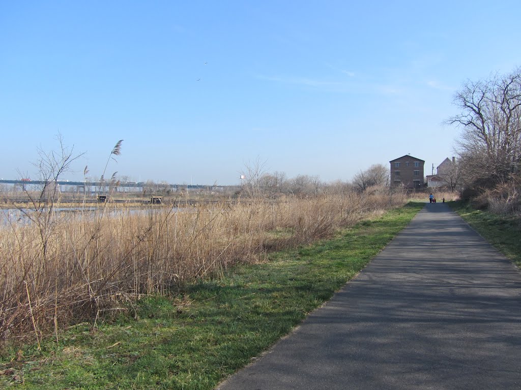 Richard A. Rutkowski Park by Adam Elmquist