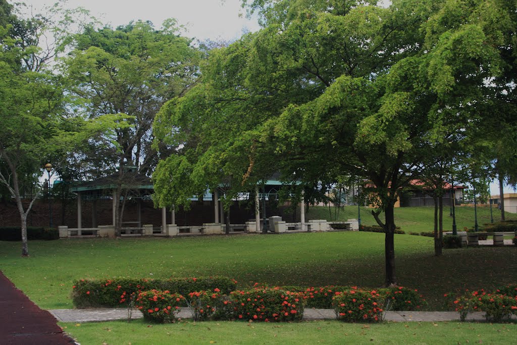 Parque Recreativo de Colinas Metropolitanas-Pueblo de Guaynabo by Ricardo David Jusino