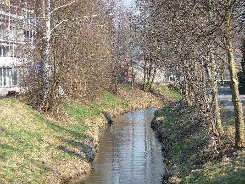 Romantische Bünz 1 by bienenritter