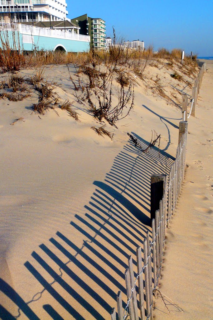 Fence shadow on sandy beach by Geraldine Clark