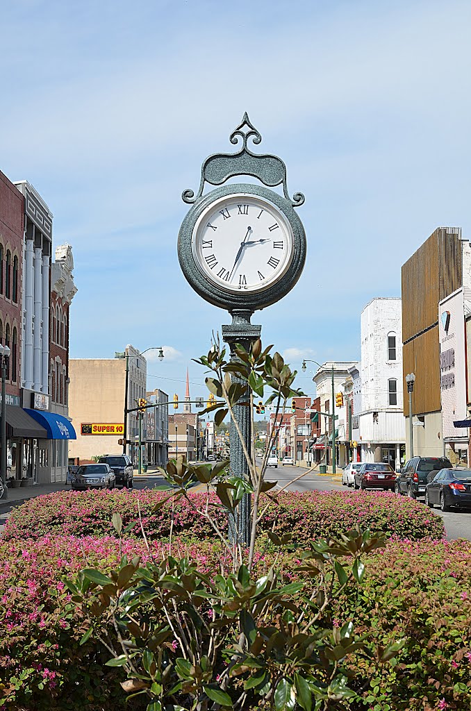 Town Clock by wmr36104