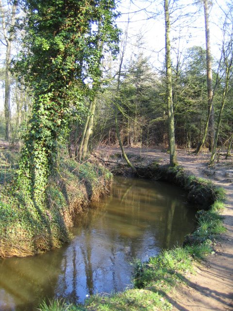 Esbeek, langoed Utrecht by berkemeijer