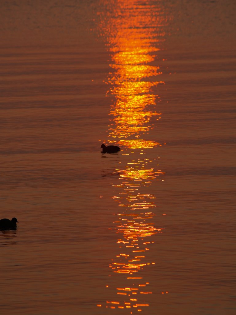 Lago di Garda 1 by Jaume Galobart