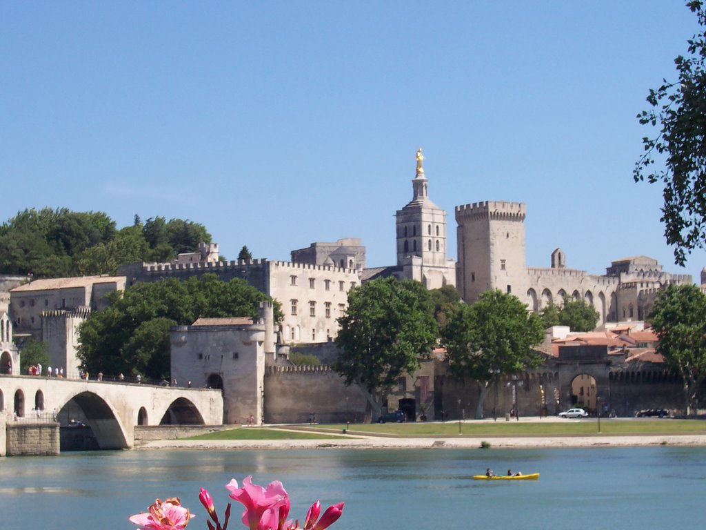 Avignon by Yvette