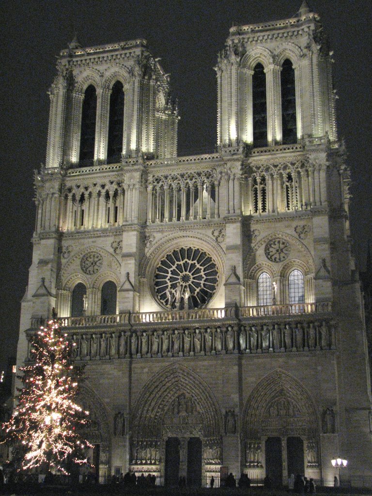 Notre Dame by Alessandro Castellan…