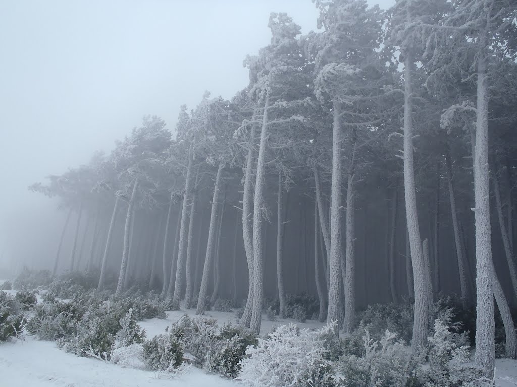 Nieve en la sierra de Alaiz by Juanma Akelarre