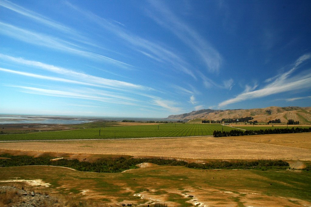 From the Tranz Coastal Train by tandmkohlbush