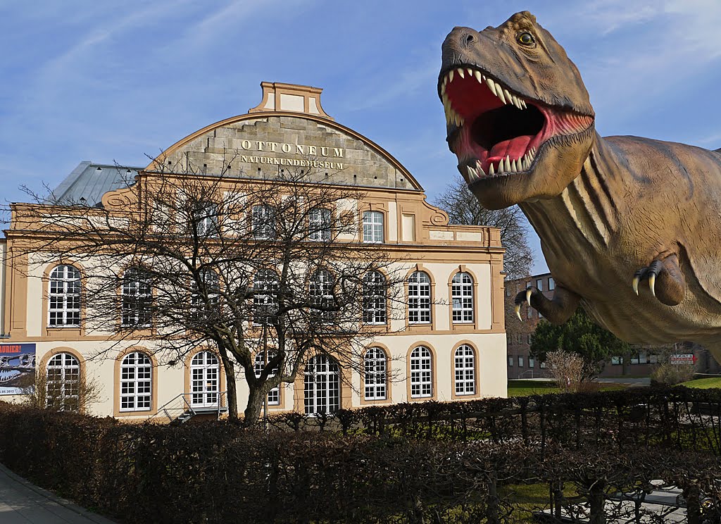 Neulich am Naturkundemuseum by RSchuetz