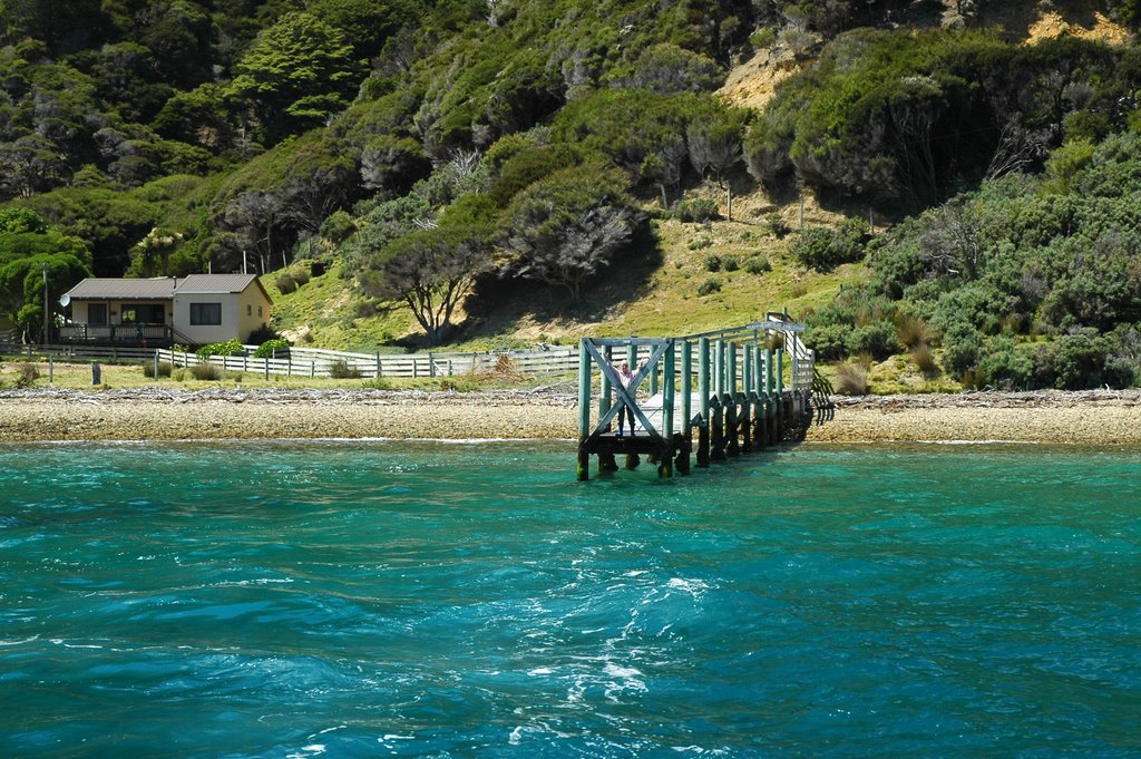 Aotea by tandmkohlbush