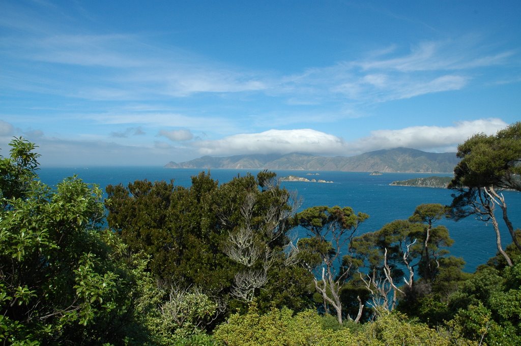 View of Kokomohua Islands from Motuara Island Platform by tandmkohlbush