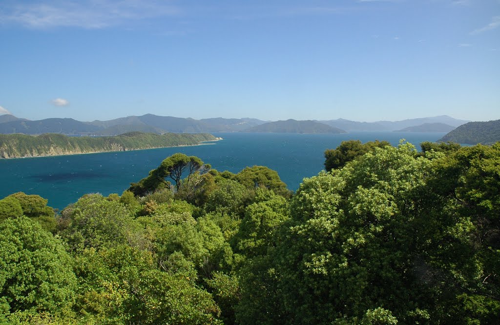 View of Long Island from Motuara Island Platform by tandmkohlbush