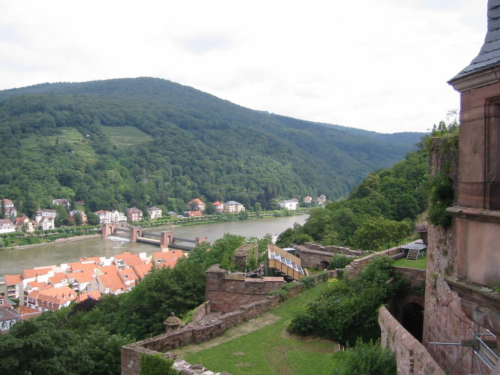 View from Heidelberg Castle by Gr8fulone