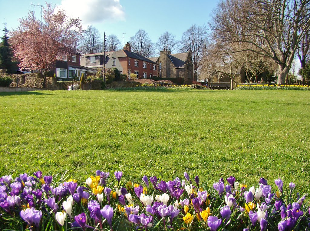 Looking over Crocus towards Priory Road houses, Ecclesfield, Sheffield S35 by sixxsix