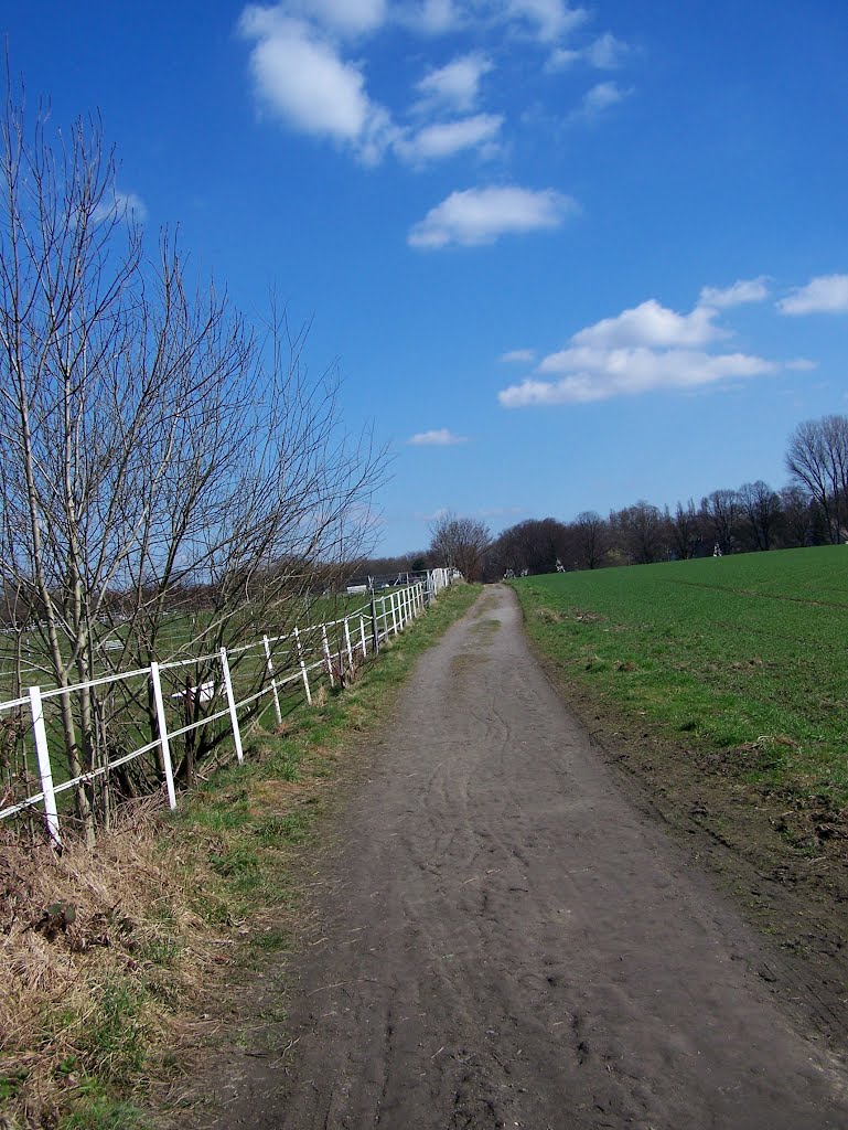 Feld an der Schragmüllersstr. by Jawi90