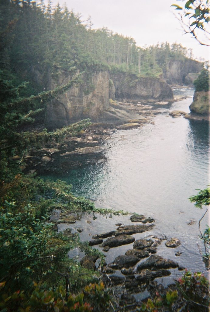 Observation Point, Neah Bay, Washington by DWoo