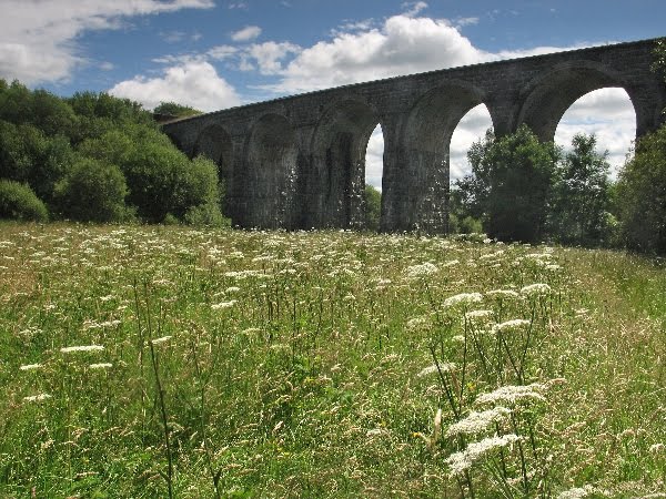 Nine Arches, Tredegar by Jane Corey